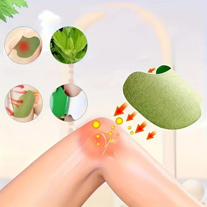 SheFix ® Joint Muscle Pain Relief Patch Shoulder, Waist, Knee, Back.